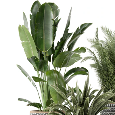 Indoor Plants  in rusty Concrete Pot - Set 628 — Вид 7