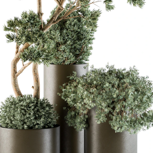 Outdoor Plants tree in Metal Pot - Set 102 — Скачать