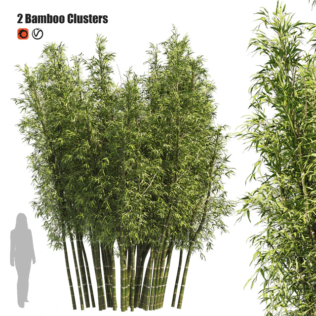 2 Bamboo Clusters — Descargar