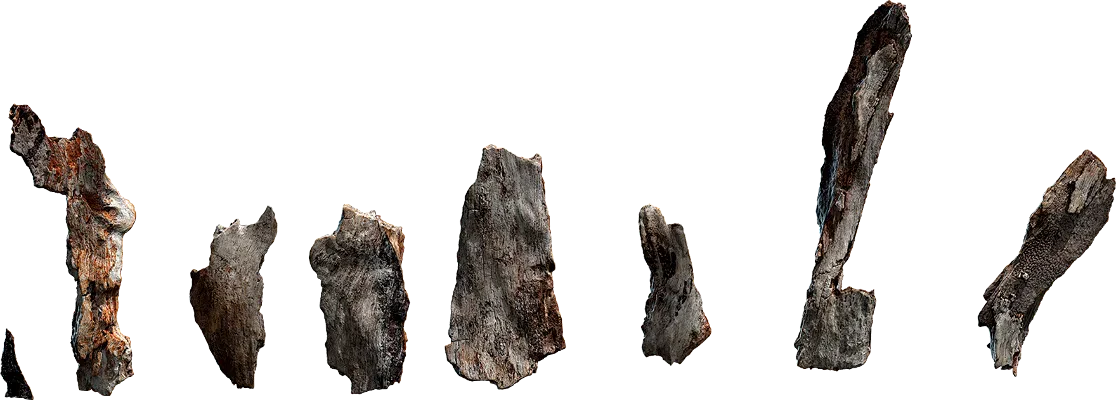 dry bark chips 001 — Descargar