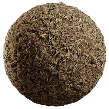 grass dried 033 — Скачать