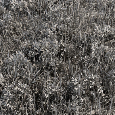 Wild Grass Green - Grass Set 01 — Вид 5