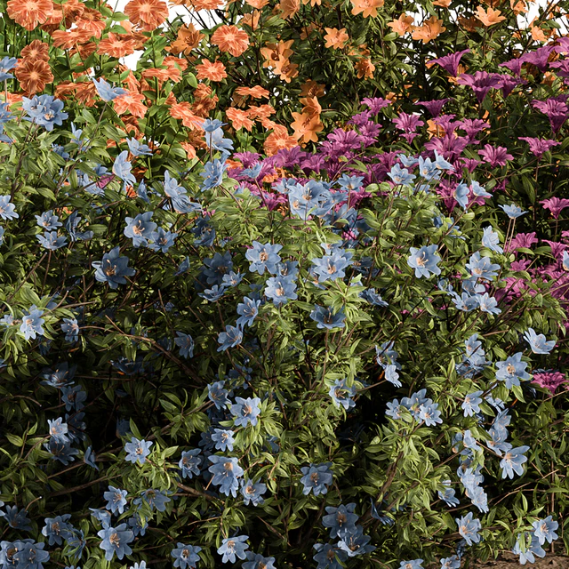Garden Set colorful Flower Bush  - Outdoor Plants Set 424 — Скачать