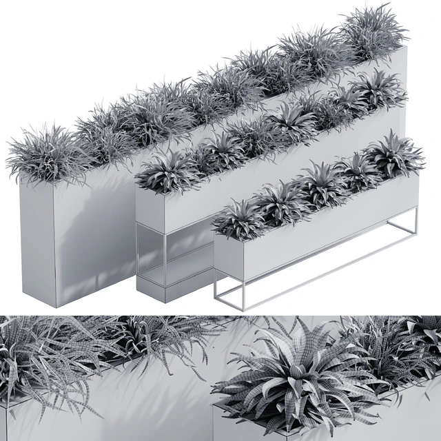 indoor plant set 65 — Descargar