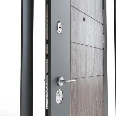 Modern entrance door 2 — Ver 5