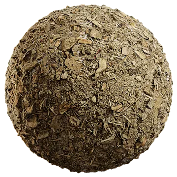 dried leaves 035 — Скачать