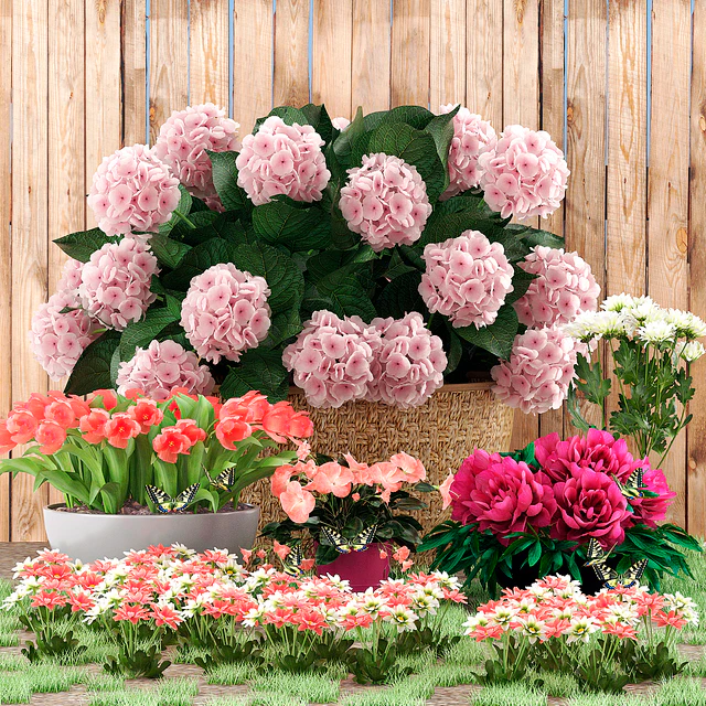 Flower beds — Descargar