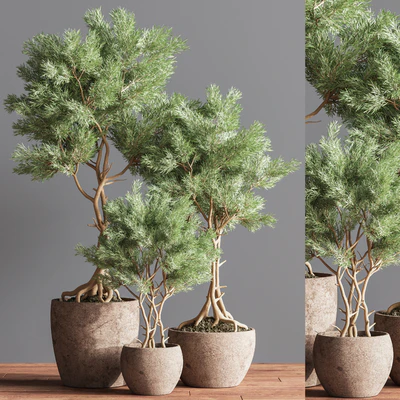 Indoor Plant Set 76 — View 7
