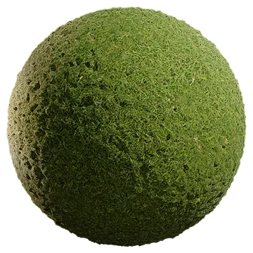 uncut grass 013 — Скачать