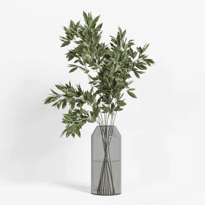 collection of indoor plants Vol04 — Вид 7