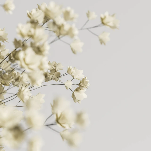 plants bouquet vase 23 — Скачать