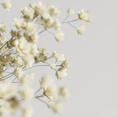 plants bouquet vase 23 — Вид 4