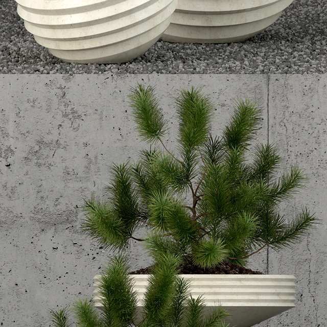 Plants collection 58 — Descargar