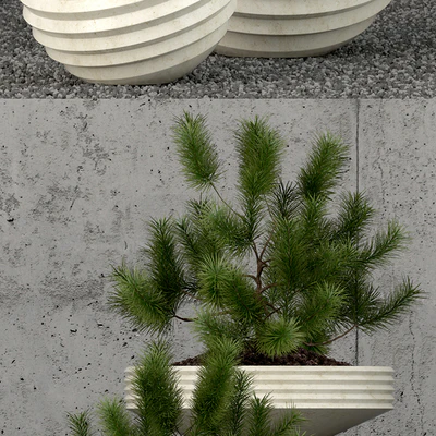 Plants collection 58 — Ver 2
