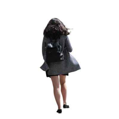 3903 — Descargar