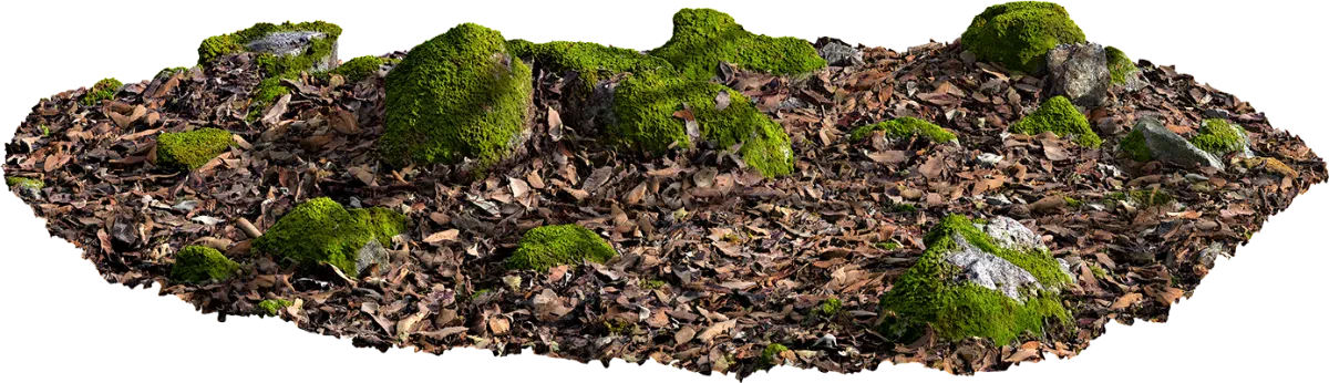 mossy rocky ground 014 — Descargar