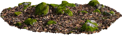 mossy rocky ground 014 — Descargar