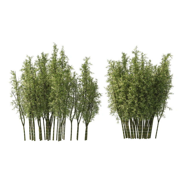 2 Bamboo Clusters — Descargar
