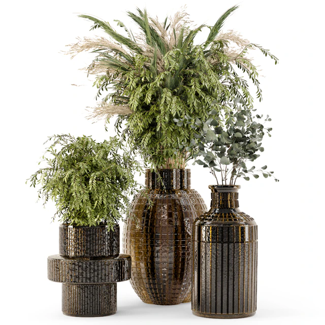 Collection Indoor Plants in Glass Pots - Set 701 — Descargar