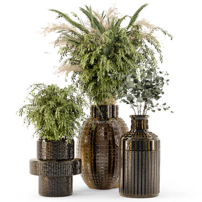 Collection Indoor Plants in Glass Pots - Set 701 — Ver 6