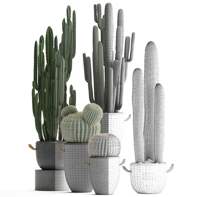 Collection of plants 411. Cactus set. Echinocactus, Cereus, Carnegia, Barrel cactus, indoor plants, concrete pot, outdoor — Ver 2