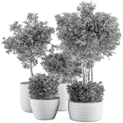 Outdoor Plant Set 322- Autumn Plant and Tree Set — Ver 6