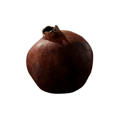 pomegranate 002 — Descargar