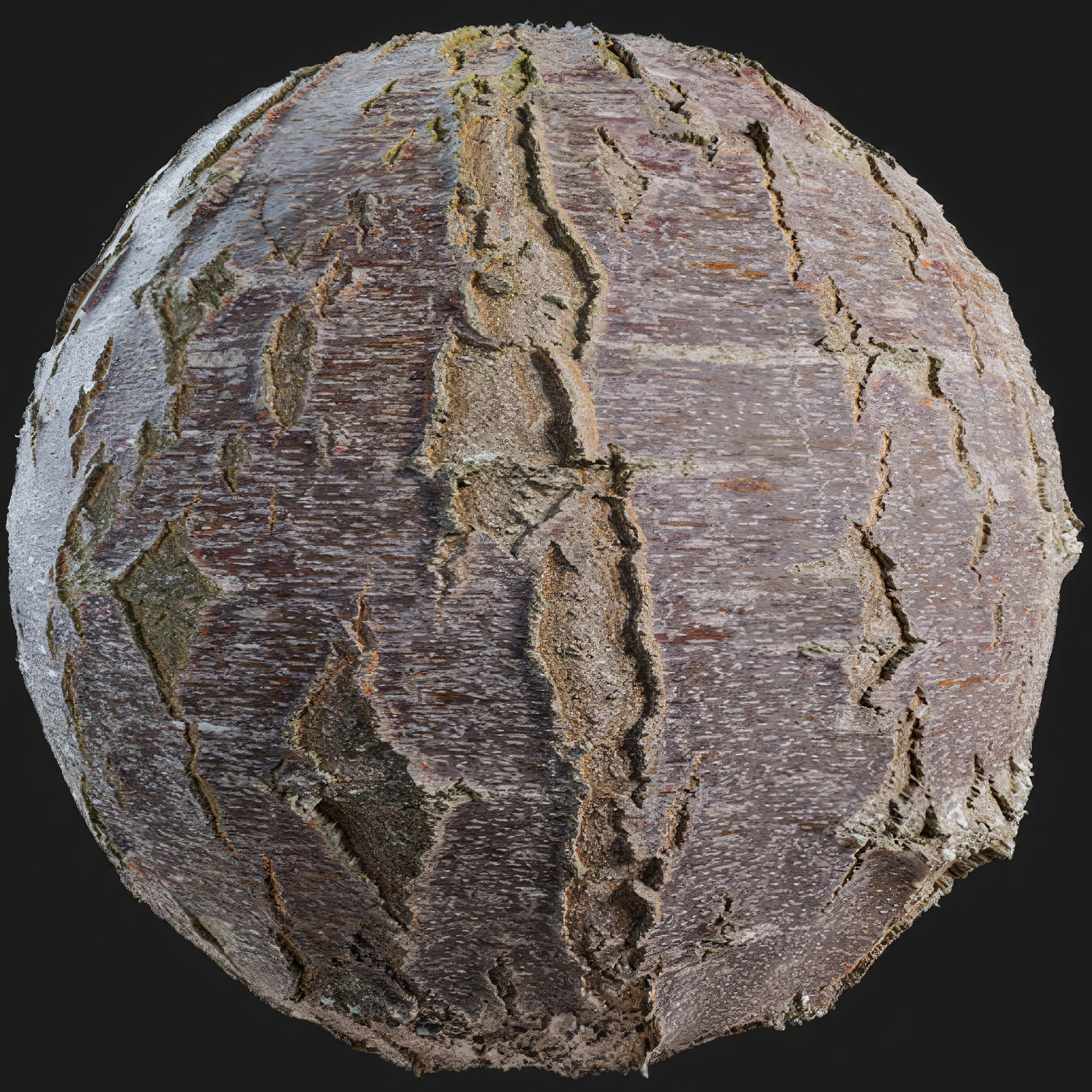 birch bark 001 — Download