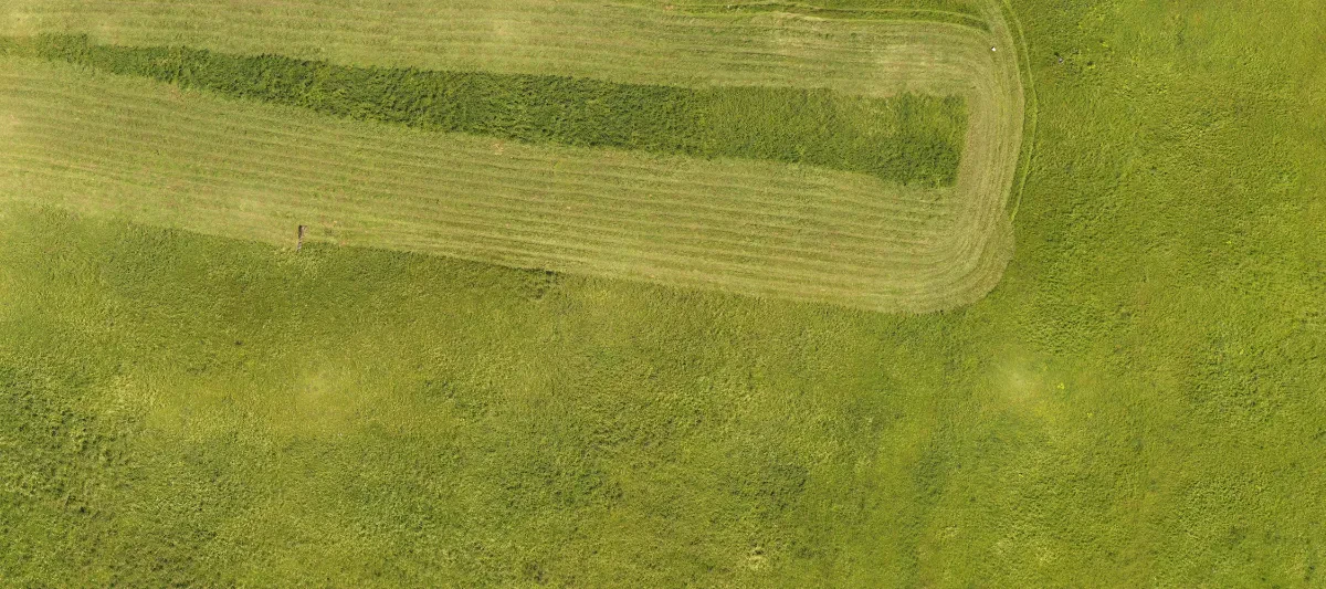 field summer 015 — Скачать