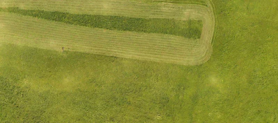 field summer 015 — Скачать