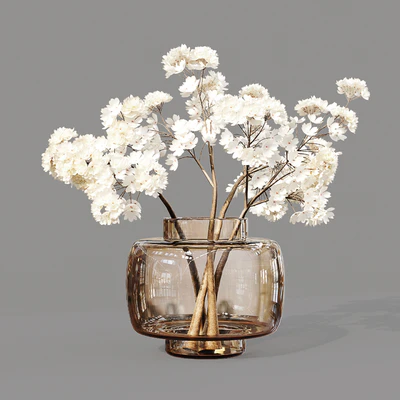 Collaction Indoor Plants 07 — Вид 3