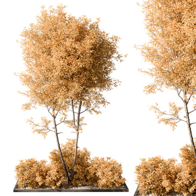 Garden Plants - Outdoor Plants 476 — Ver 1