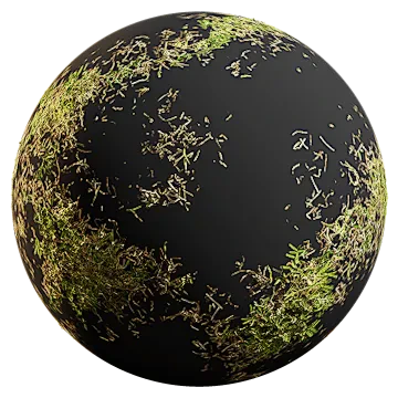 buffalo grass patches 001 — Descargar
