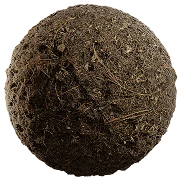 grass dried 036 — Скачать