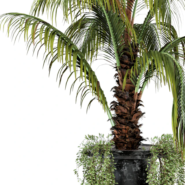 Outdoor Plants bush and Tree in rusty Concrete Pot - Set 26 — Descargar
