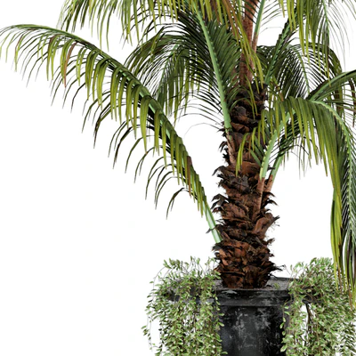 Outdoor Plants bush and Tree in rusty Concrete Pot - Set 26 — Ver 5