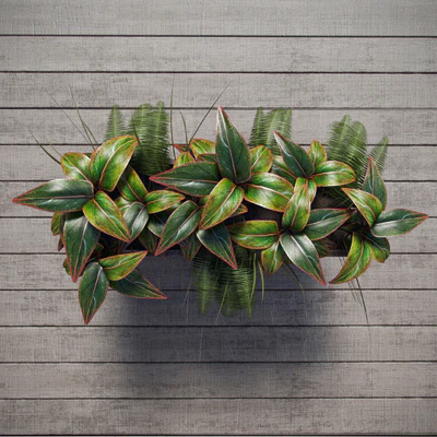 Terrace plants — Ver 3
