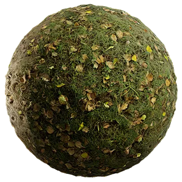 grass and leaves 005 — Скачать