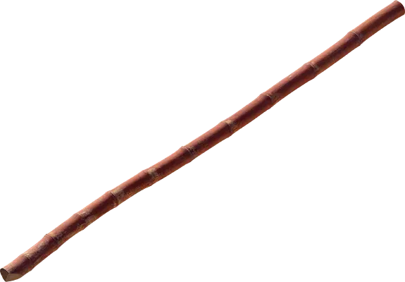 bamboo stick 003 — Descargar