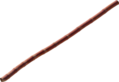 bamboo stick 003 — Descargar