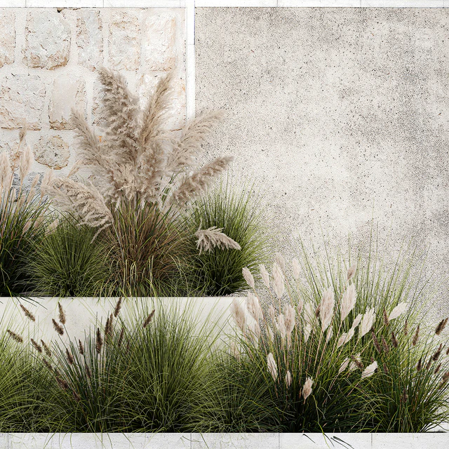 Collection of flowerbed plants and bushes with grass for landscaping, pampas grass, cortaderia and white reeds. 1126. — Descargar