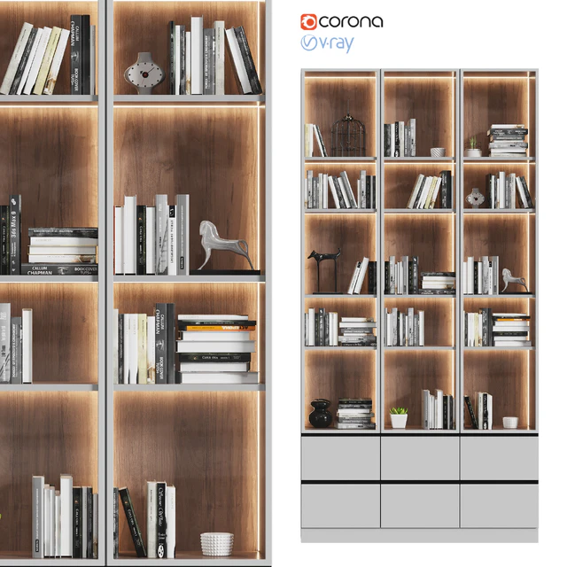 Showcase cabinet with books — Descargar
