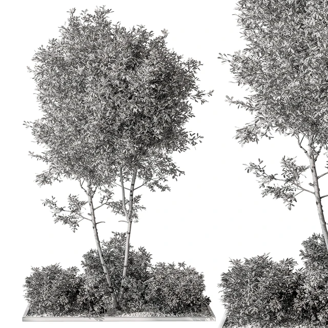 Garden Plants - Outdoor Plants 476 — Descargar