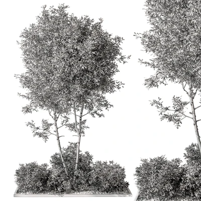 Garden Plants - Outdoor Plants 476 — Ver 3