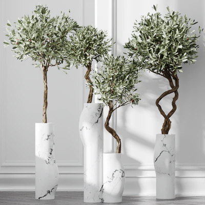 HQ Plants Mission Olive Tree Indoor Vase Set003 — View 6