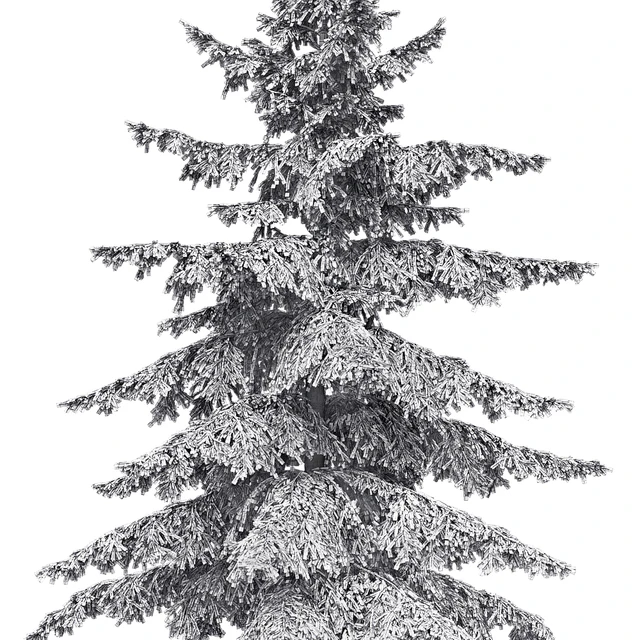 Spruce — Скачать