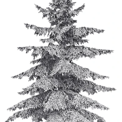 Spruce — Вид 3