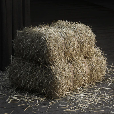 Straw bale (GEOMETRY + SCATTER) — Ver 3