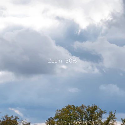 Cloudy panorama with autumn trees. 2 pcs — Ver 6
