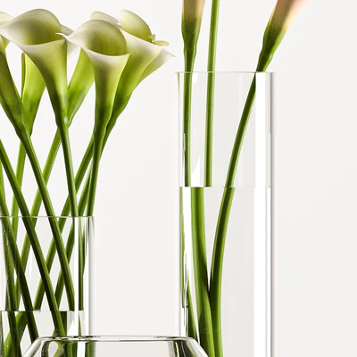 CALLA LILY 3 — Ver 3